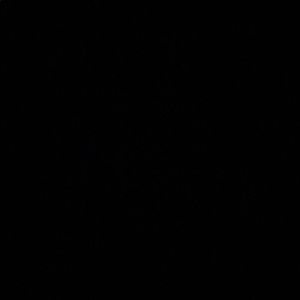 Meet your Posher, Theo